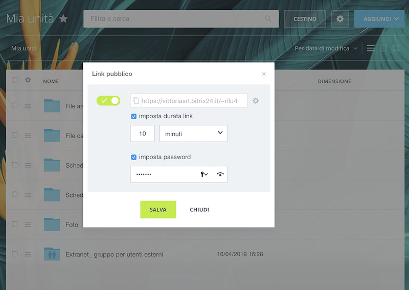 drive_public_link