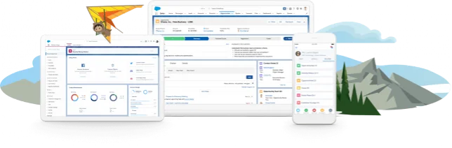 salesforce.png